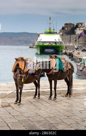 Donkeys and a Hellenic Seaways catamaran ferry at the Hydra Port landing on the Greek island of Hydra, Greece. No cars are allowed in Hydra. Stock Photo