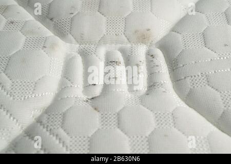 Moisture causes mold growing on the fabric of a mattress. Stock Photo