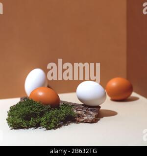 Four multi-colored eggs and natural materials moss and wood. Easter concept. Stock Photo