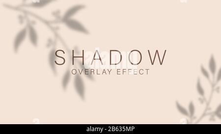 Shadow overlay effect. Transparent soft light and shadows from branches, plant, foliage and leaves. Mockup of transparent leaf shadow Stock Vector