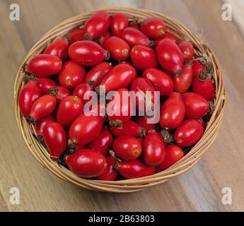 Freshly picked rose hips in a basket Stock Photo