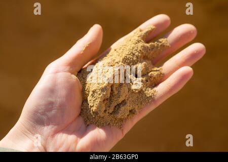 Hand of a young women holding raw clay for plastering Stock Photo