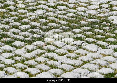 Paved stones with green grass growing in between Stock Photo