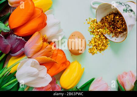 Festive layout for congratulation with Easter. multicolored Tulip bouquets on a light green background and a simple chicken egg with gold stars in a w Stock Photo