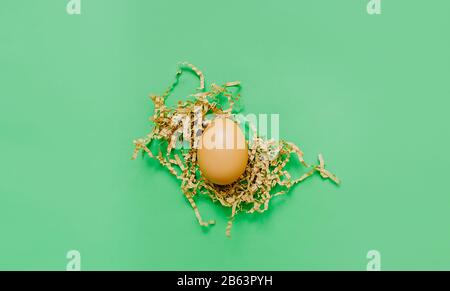 Easter card in a minimalist style. Brown chicken egg on pressed cut paper in the shape of a nest on a smooth clean green background. top view, flat la Stock Photo