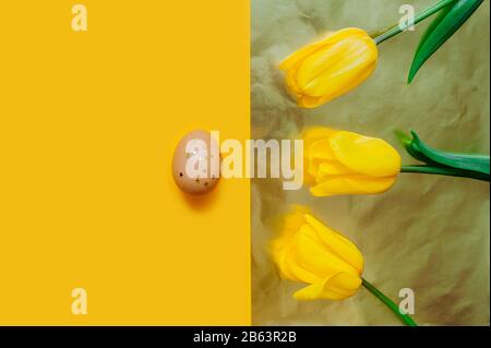 simple chicken egg with spangled stars on a bright yellow background and three yellow tulips on a gold falgirovannom background opposite. Two backgrou Stock Photo