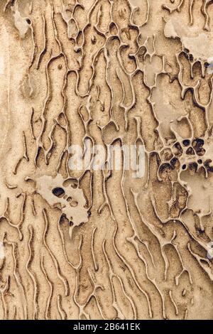 The harsh rocky coastline at Artillery Rock along the Great Ocean Road, Victoria, Australia. Stock Photo