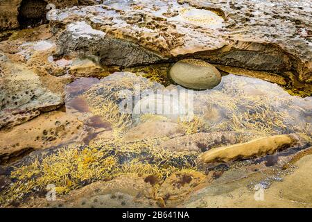 The harsh rocky coastline at Artillery Rock along the Great Ocean Road, Victoria, Australia. Stock Photo