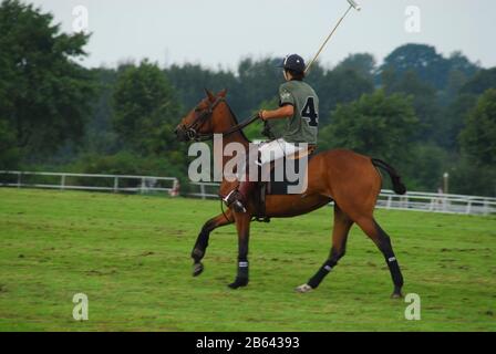 a polo player sitting on a brown polo horse during a tournament Stock Photo