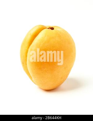 Ripe apricot isolated on white Stock Photo