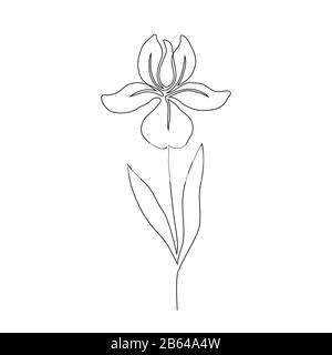 Single needle iris flower on the tricep