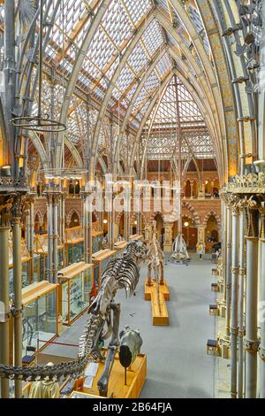 Exhibits on the ground floor at Oxford university natural history museum, England.