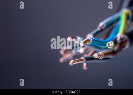 Group of colored electrical cables - studio shot. Stock Photo