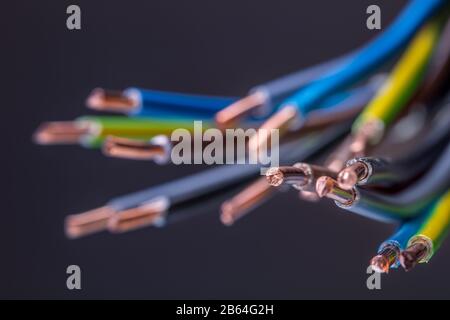 Group of colored electrical cables - studio shot. Stock Photo