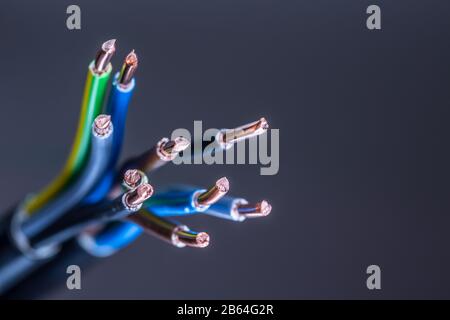 Group of colored electrical cables - studio shot. Stock Photo