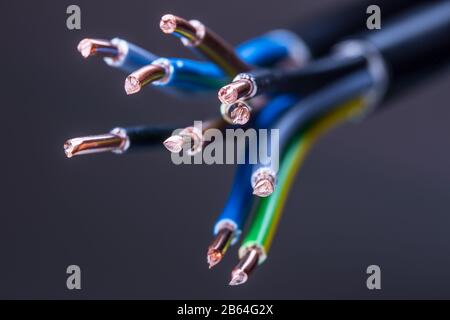 Group of colored electrical cables - studio shot. Stock Photo