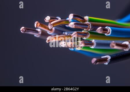 Group of colored electrical cables - studio shot. Stock Photo