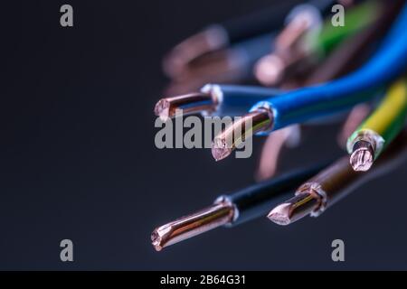 Group of colored electrical cables - studio shot. Stock Photo