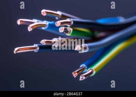 Group of colored electrical cables - studio shot. Stock Photo