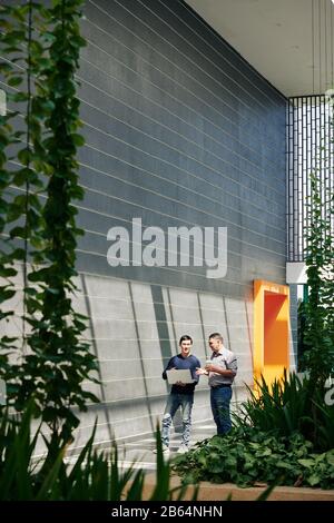 IT specialists walking in hall of modern office and discussing project detils Stock Photo