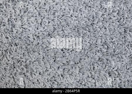 Modern gray carpet texture. Background. Close up. Stock Photo
