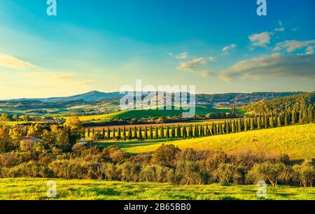 Sunset landscape in Maremma countryside. Rolling hills and cypress trees. Casale Marittimo. Tuscany, Italy, Europe Stock Photo