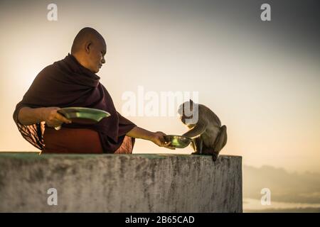 monk feed the monkey, Sandawshin Zwegabin Pagoda, Hpa An, Myanmar, Asia. Stock Photo