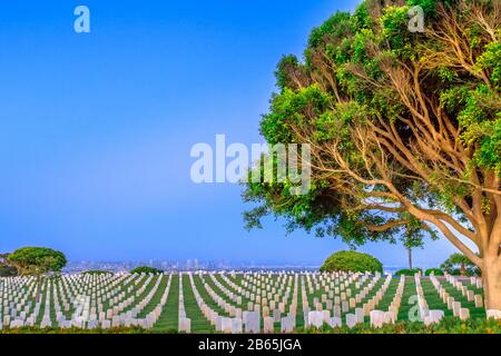 American war cemetery with rows of graveyard in Point Loma, California, United States with the skyscrapers of downtown San Diego in the distance. Copy Stock Photo