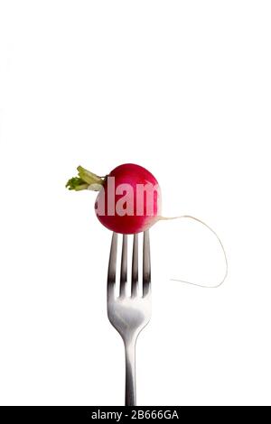 One radish on fork isolated on white background Stock Photo