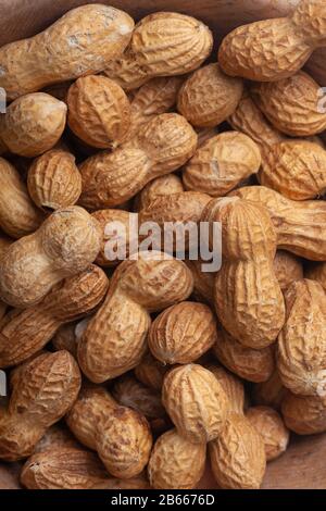 Peanut in shell, close-up Stock Photo