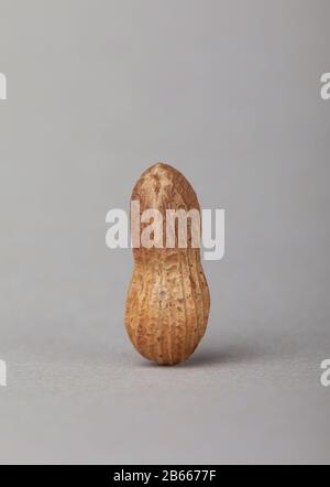 Peanut in shell, close-up Stock Photo