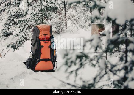 travel backpack in the winter forest. Cross process filter added. Stock Photo