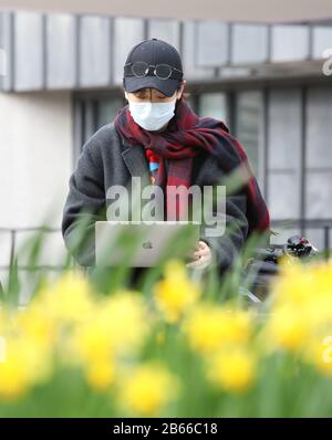 A journalist wearing a face mask, possibly in light of the Coronavirus, works on her laptop behind daffodils. The Commonwealth Service at Westminster Abbey today, attended by Queen Elizabeth II, Prince Charles The Prince of Wales, Camilla The Duchess of Cornwall, Prince William The Duke of Cambridge, Catherine The Duchess of Cambridge, Prince Harry The Duke of Sussex, Meghan Markle The Duchess of Sussex, Prince Edward The Earl of Wessex, Sophie The Countess of Wessex, along with heads of government and representatives of the countries of the Commonwealth. Commonwealth Service, Westminster Abbe Stock Photo