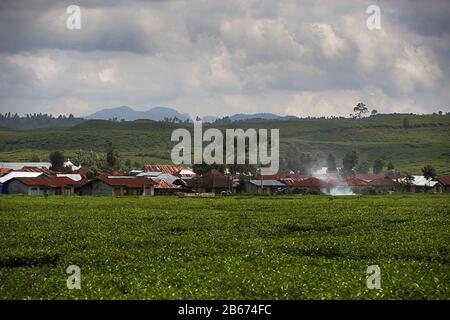 A settlement in the middle of tea plantation in Kersik Tuo village, Kayu Aro, Kerinci, Jambi, Indonesia. Stock Photo