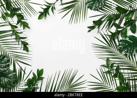 Palm and monstera leaves frame for your design Stock Photo