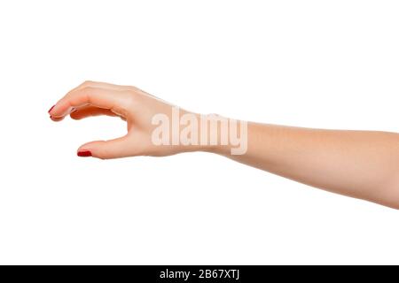 Holding hands in different action poses grabbing Vector Image