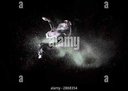 Bursting balloon full of coloured powder and glitter on a black background Stock Photo