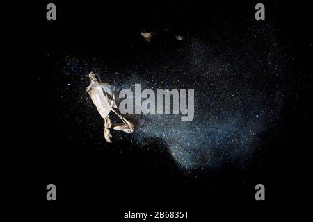 Bursting balloon full of coloured powder and glitter on a black background Stock Photo