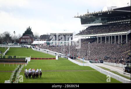 A general view of runners and riders during opening race of the Cheltenham Festival at Cheltenham Racecourse, Cheltenham. Stock Photo