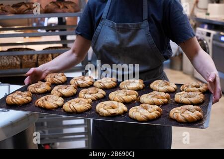 Close up of person holding tray with freshly baked cinnamon buns in an artisan bakery. Stock Photo