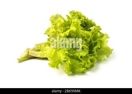 Bunch of lettuce leaves isolated on white Stock Photo
