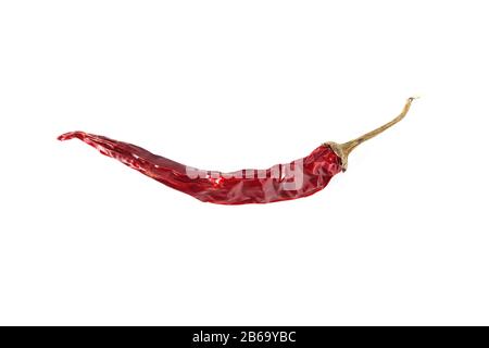 Dried pod of hot pepper isolated on white Stock Photo