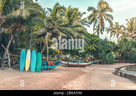 Surfboards set vertically with their elbows resting on a wooden stand in the sand at a surf station in Sri Lanka Hikkaduwa, and traditional fishing bo Stock Photo