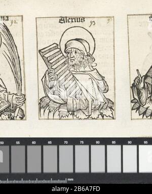 Alexius van Edessa; Alexius; Liber chronicarum. A flower celk with a