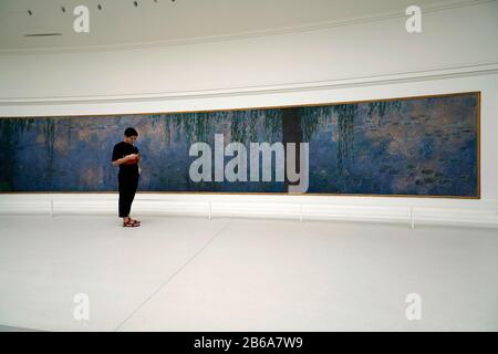 A visitor in front of Claude Monet's Les Nympheas Water Lilies series mural display in Musee de l'Orangerie.Paris.France Stock Photo