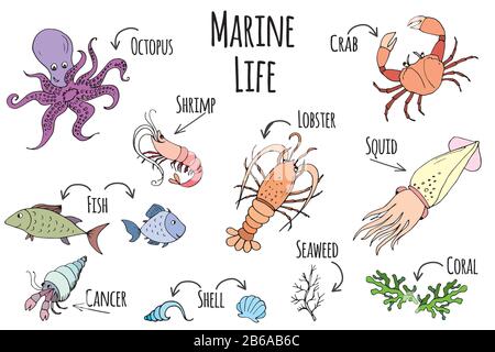 Marine life set,fish,lobster and others.isolated on white background,doodle vector illustration Stock Vector