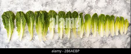 Raw of fresh organic romain lettuce salad leaves from big to small on marble white black backgruond. Top view. View from above Stock Photo