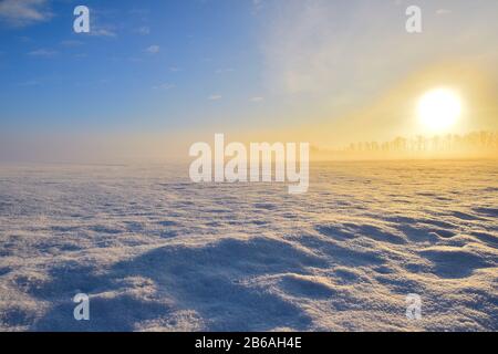A landscape image of a snow covered country meadow at sunrise in rural  Alberta Canada. Stock Photo