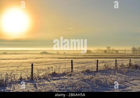 A horizontal image of a flat meadow at sunrise in rural Alberta Canada. Stock Photo