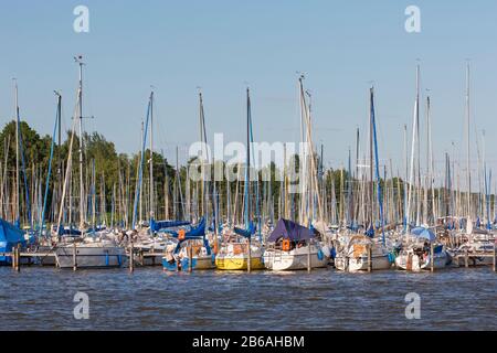 Sailing boats at Lake Steinhude / Steinhuder Meer, Mardorf, Neustadt am Rübenberge, Lower Saxony, Germany Stock Photo